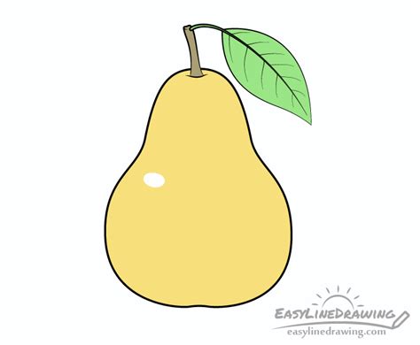 pera drawing easy|How to Draw Pears .